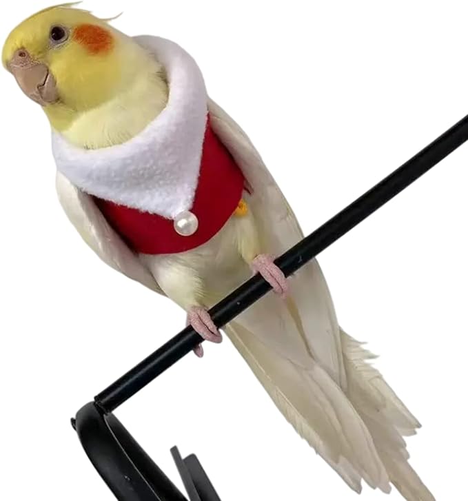 Bird Clothes Birds Flight Suit, Christmas Hoodie for Parrots Cockatiel Sun Conure Christmas Party Cosplay Photo Prop Bird Shirt Small Animals Apparel (A,Red-Fronted Parrot)