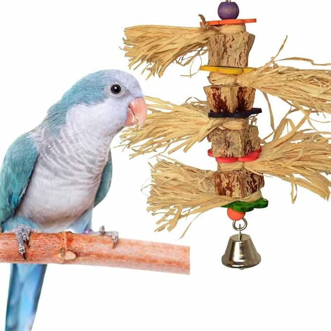 Super Bird Creations SB946 Tassel Time Bird Toy - Ideal for Parrotlets, Parakeets, Cockatiels, Lovebirds, and More - Durable Enrichment and Foraging Toy for Bird Cages, Medium Sized Birds, 10" x 7"