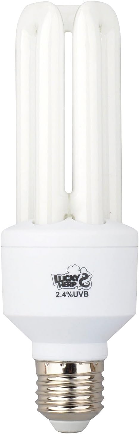 LUCKY HERP 2.4% UVB Bird Fluorescent Bulb 20W - Full Spectrum Avian Light for Parrots, Cockatiels & Conures - Promotes Vitamin D3 & Feather Health - E26 Base, 3-U Tube CFL
