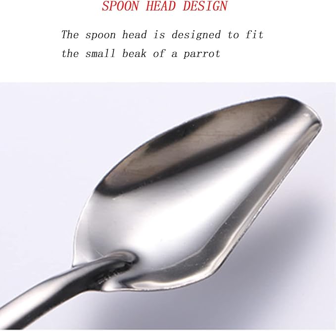6 Stainless Steel Pet Feeding Spoons, Parrot Feeding Tool, Chick Bird Feeder.
