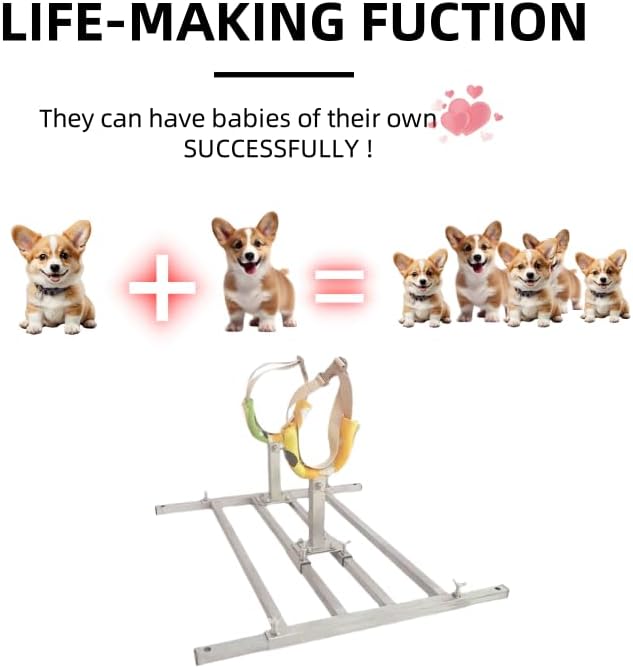 Dog Breeding Stand(Multi-Specification) Adjustable Height and Length,Stainless Steel Dog Breeding Stand,Disabled Dog Stand up (SLIVER,S)