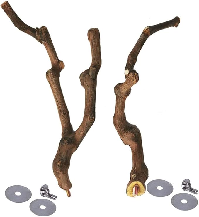 Natural Parrot Perch Wild Grape Stick Bird Standing Pole Claw Grinding Fork Parrot Climbing Standing Branch Toy Chewable Cage Accessory Small Budgies Love Birds 4PCS