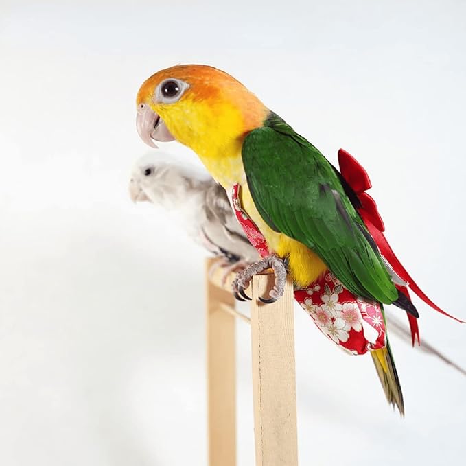Bird Flight Suits Diapers for Monk Parakeets, Cockatiels, Parrot Clothes, Training Nappy Suit Liners (Large, Red-A)