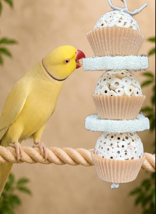 Shred & Destroy Natural Bird Toy - Double Texture Soft & Crunchy - Sola Ball and Loofah Plant - Medium Birds - Cockatiels, Conures - 2 Pack