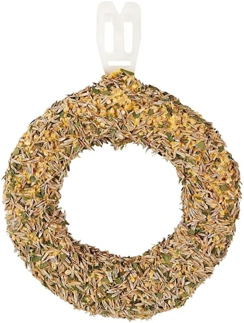 Sun Seed Swing Ring Grass Seed/Spinach Bird Treat, 2.11 oz.