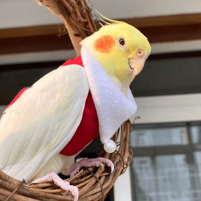Bird Clothes Birds Flight Suit, Christmas Hoodie for Parrots Cockatiel Sun Conure Christmas Party Cosplay Photo Prop Bird Shirt Small Animals Apparel (A,African Grey)