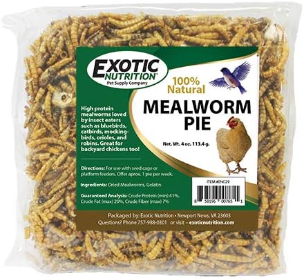 Exotic Nutrition Mealworm Pie - Healthy Natural Suet Basket Feeder Treat - for Backyard Chickens and Wild Birds