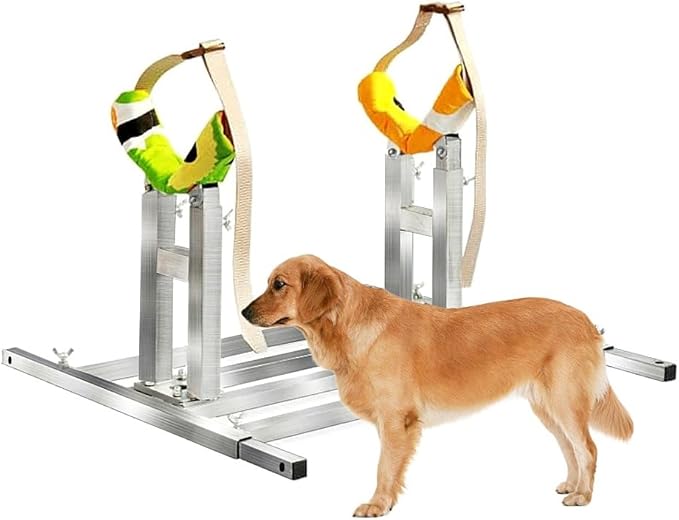Dog Breeding Stand(Multi-Specification) Adjustable Height and Length,Stainless Steel Dog Breeding Stand,Disabled Dog Stand up (SLIVER,L)