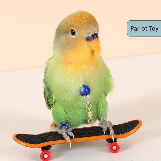 2Pcs Bird Skateboard，Bird Toys for Parrot，for Bird Training Toys (Small)