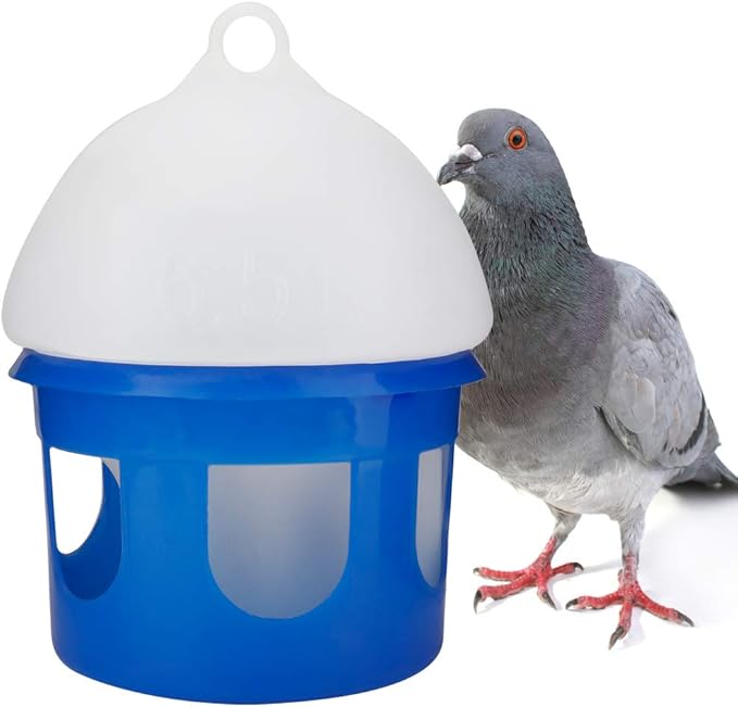 CDQL Pigeon Feeder,ABS Plastic Water Dispenser Waterer,Large Capacity Automatic Bird Pigeon Feeder Water Dispenser Waterer (6.5L)