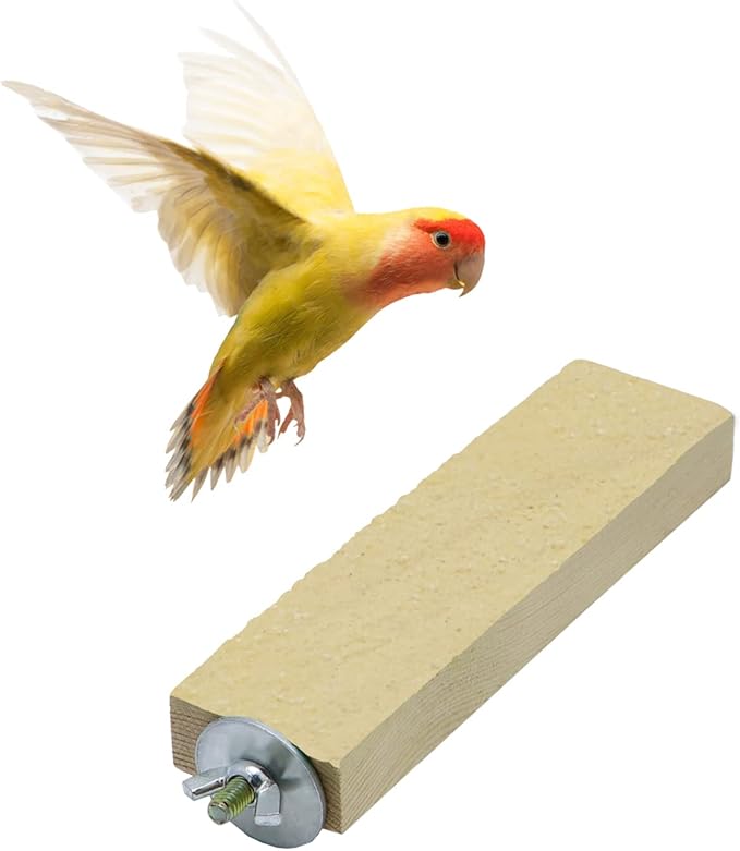 Bird Parrot Perch Stand Platform Natural Wooden Coarse Sand Grinding Claw Stand Suitable for Parrot Parakeet Cockatiel Budgie Conures Lovebird Finch