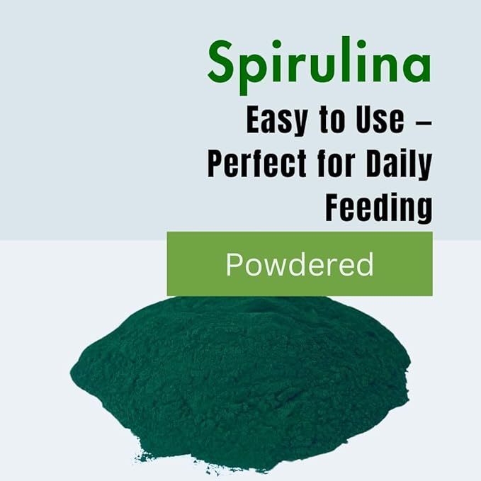 PINETA Spirulina Powder Organic 200g - Spirulina Supplement Bird Food for Canaries and Granivorous Birds - 100% Natural, Immune Support Supplement, Promotes Healthy Molting, Bright Feathers