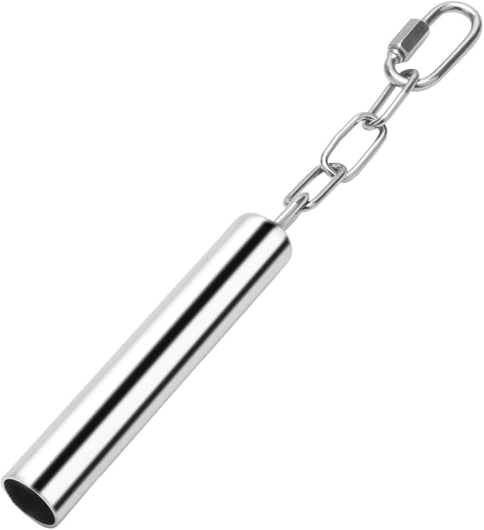 Wontee Stainless Steel Bell Toy Bird Cage Hanging Bite Toy for Parrot Parakeet Budgie Cockatiel Conure African Greys (L)