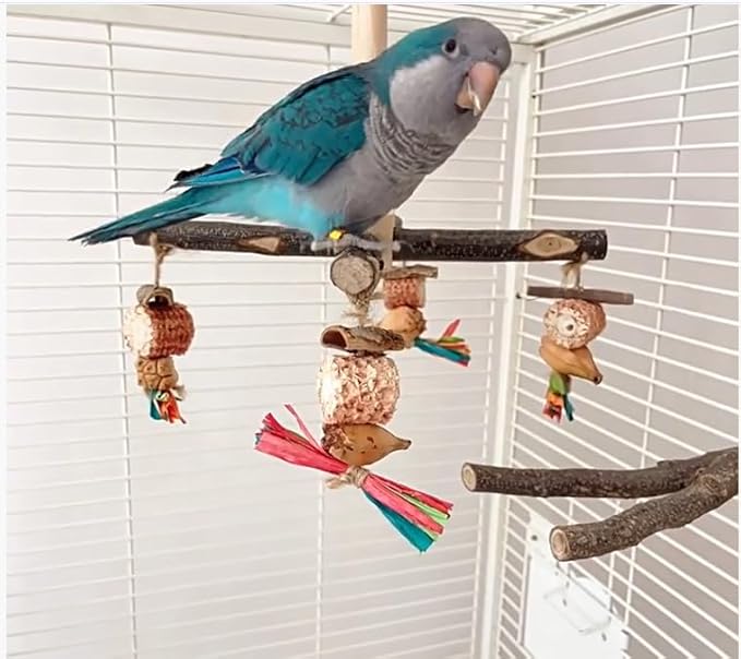 Bird Chew Toys Parrot Rotating Toys, Interactive Bird Cage Toys for Small Medium Birds, Durable Chewing Gnawing Beak Trimming Toys for Parakeet Cockatiel Conure Budgie Lovebird