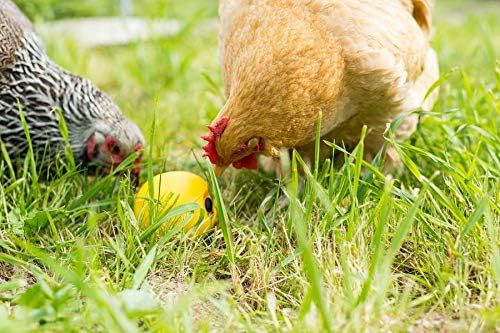 Lixit® Chicken Feeder Treat Ball Toy - Chicken Coop Peck Toy - Chick Slow Feeder and Enrichment Ball (Yellow, 6 Pack)