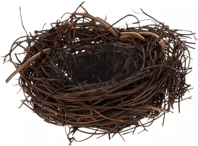 Spring Twig Mini Bird Nests - 2 Count (4 Inch)