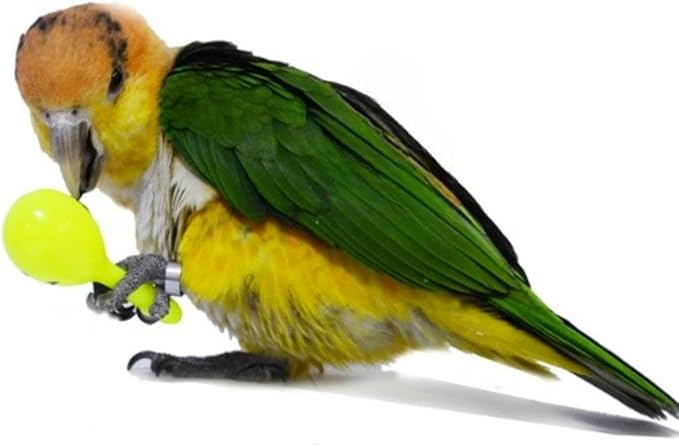 3PCS- Colourful Mini Ball Sand Hammer Parrot Rattle Shaker Musical Sound Toy Intelligent Sand Hammer Toys for Parakeets Canaries Cockatiels Conure Lovebirds(Random Color)