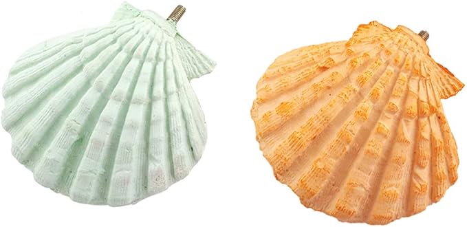 Parrot Perch Stand - 2PCs Shell Shape Squirrel Hamster Teeth Mouth Molar Grinding Stone Parrot Beak Stone Stand Platform