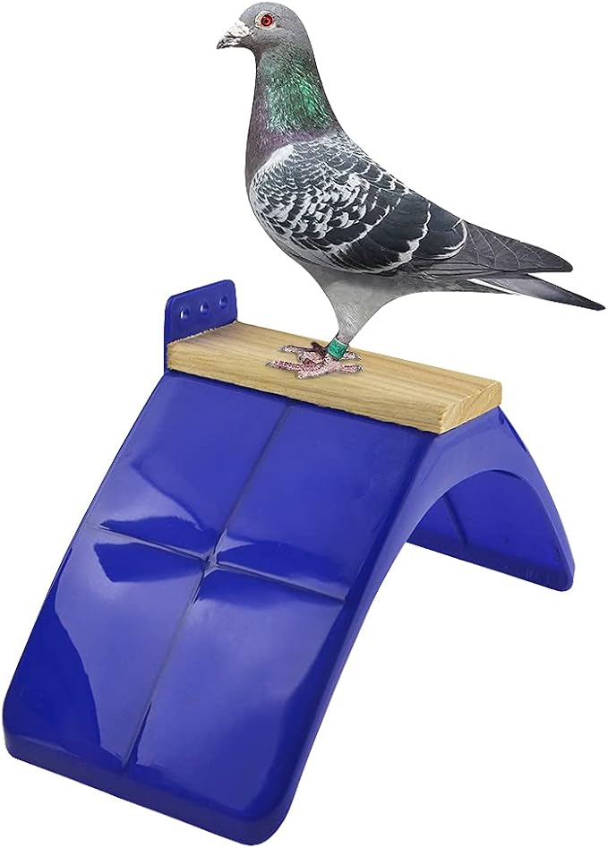5Pcs Pigeon Perch Bird Stand Bird Rest Roost for Outside Plastic Heat Resistance Dove Rest Stand Holder Supplies