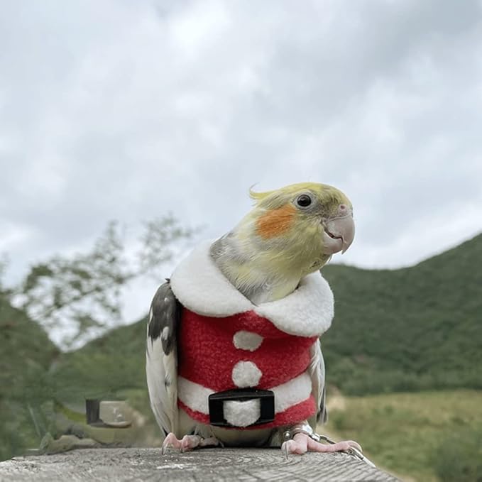 Bird Clothes Birds Flight Suit, Christmas Hoodie for Parrots Cockatiel Sun Conure Christmas Party Cosplay Photo Prop Bird Shirt Small Animals Apparel (B,Cockatoo)
