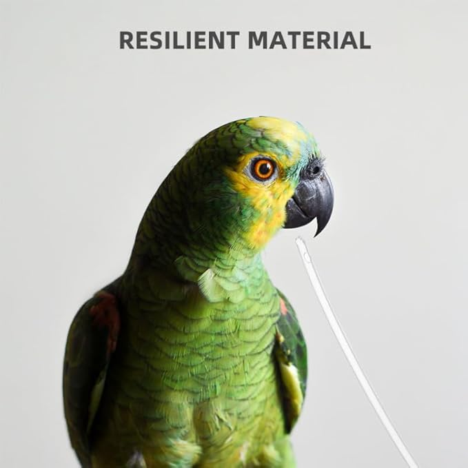 balacoo 100pcs Parrot Feeding Tube Soft Hose Replacement Heads for Birds Feeder Parrot Hand Feeder Bird for Cage