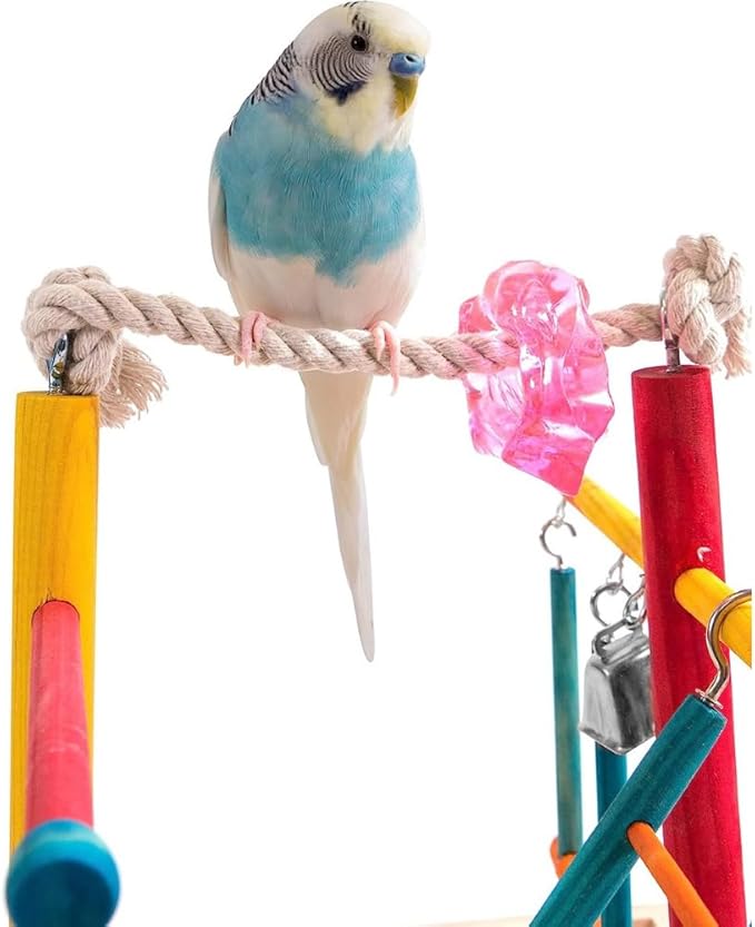 Penn-Plax Bird Life Wooden Playpen – Perfect for Parakeets, Lovebirds, Parrotlets, Cockatiels, and Green Cheek Conures – Medium