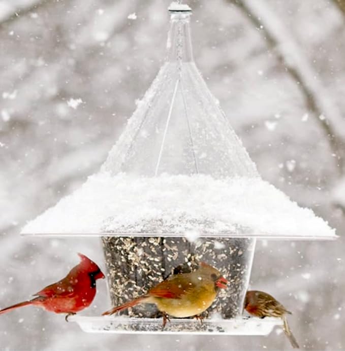 SKY CAFE - Squirrel Proof Bird Feeder for Outside - Large, 17 in. Diameter, 1.5 Gallon Birdseed Capacity - Made in USA by Arundale (Crystal Clear) - Free Mug