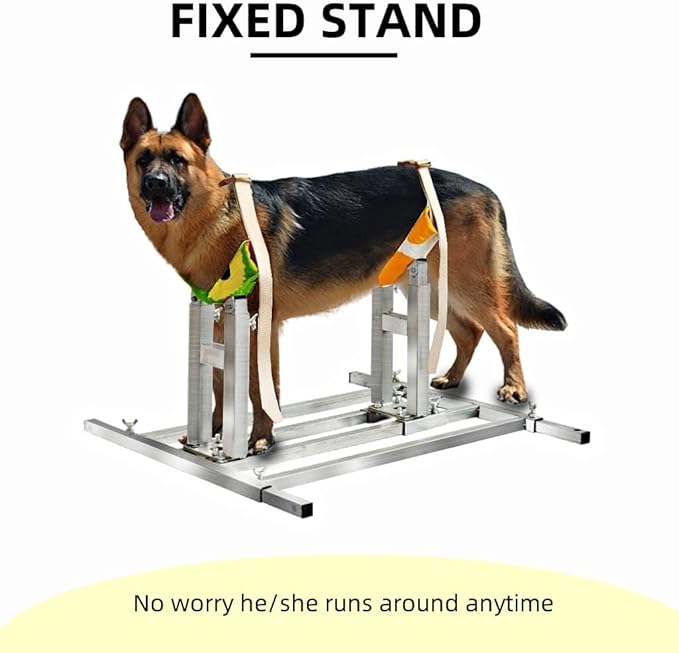 Dog Breeding Stand(Multi-Specification) Adjustable Height and Length,Stainless Steel Dog Breeding Stand,Disabled Dog Stand up (SLIVER,L)