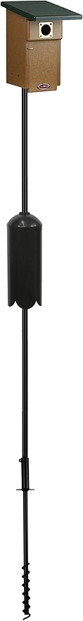 Kettle Moraine Eastern Bluebird Recycled Nest Box (Nest Box + Pole Package & Baffle, Green/Chocolate)