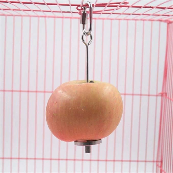 Bird Food Holder, Bird Feeders, Stainless Steel Parrot Fruit Vegetable Stick Holder, Foraging Toy, Bird Treat Skewer