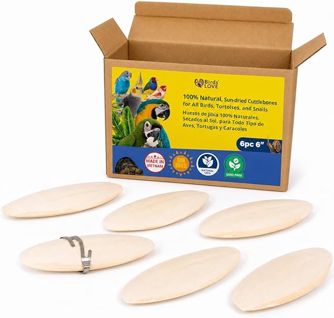 Birds LOVE 5.5-6″ Cuttlebone for Birds – 100% Natural Sun-Dried Calcium & Beak Conditioning Supplement for Parakeets, Budgies, Cockatiels, Finches & Canaries – 6 Pack with Holder – Made in Vietnam