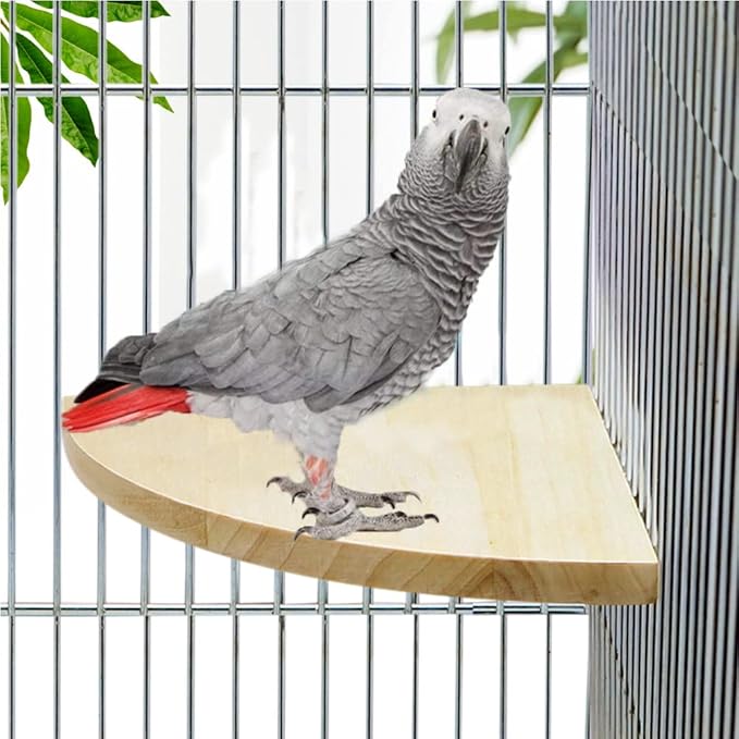 Litewoo Bird Parrot Corner Perch Flat Platform Stand, Easy to Install, Safe and Stable, Smooth Polishing Without Hurting Feet, Solid Hardwood Bird Cage Perches（XXL）