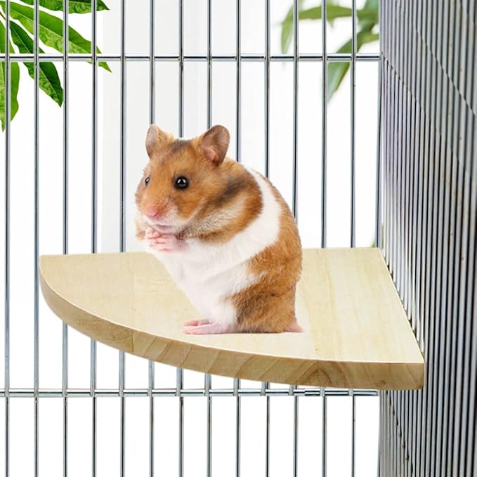 Litewoo Bird Parrot Corner Perch Flat Platform Stand, Easy to Install, Safe and Stable, Smooth Polishing Without Hurting Feet, Solid Hardwood Bird Cage Perches（S）
