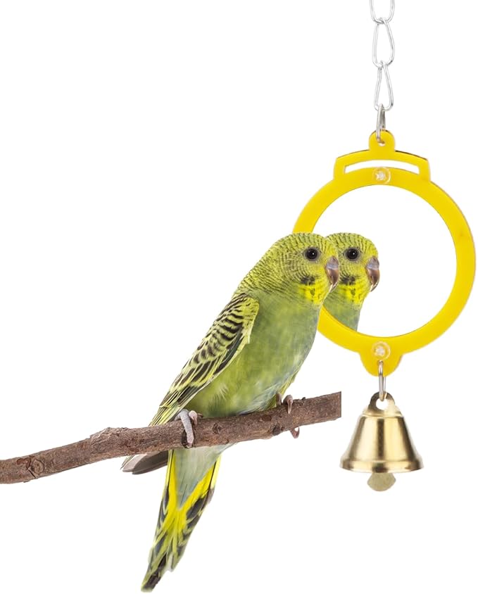 Pet Bird Mirror with Bell Interactive Treat Puzzle Parrot Toy Bird Cage Mirror Small Bird Swing Chew Toys Fun Cage Accessories (Color Random) (Round Shape)