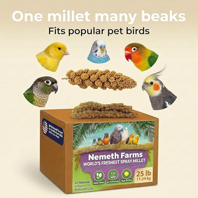 Nemeth Farms Spray Millet for Birds - Natural Non-GMO Millet Treat for Parakeets, Cockatiels & Parrots - 25 lb