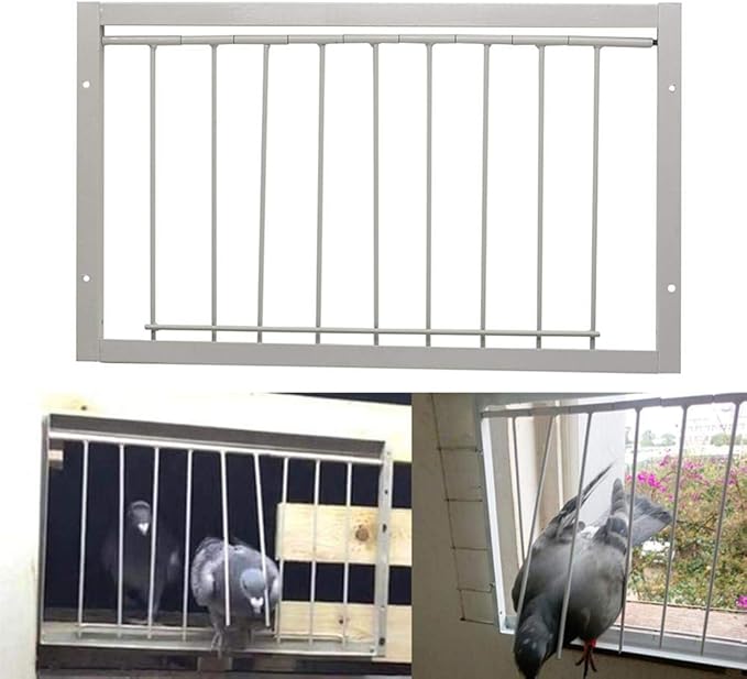 26cm(Tall) 40cm (Long) T-Trap for Pigeon Birds House Door Pigeon Birds House Door Pigeon coop for Sale Bird Cages Pigeon cage Supplier