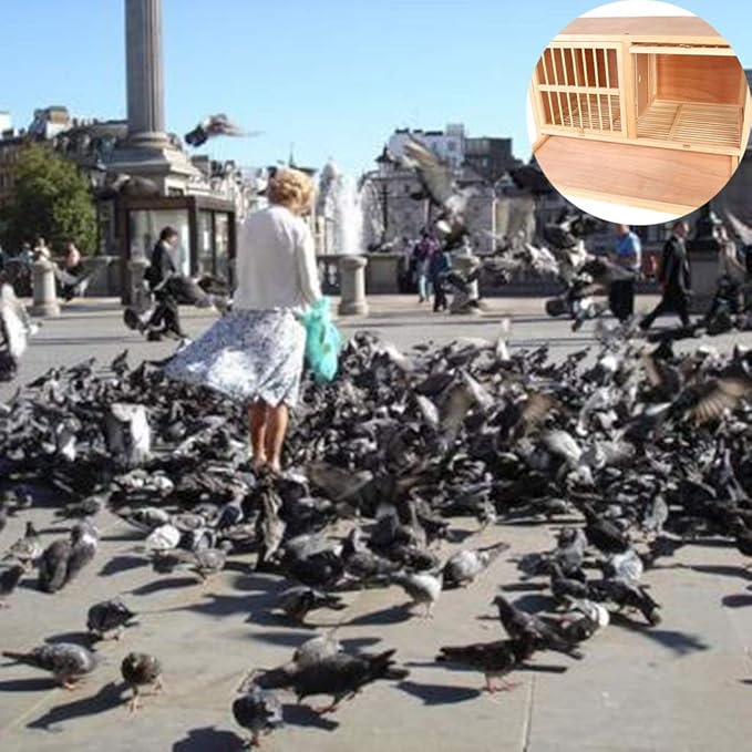 Bird cage Solid Wood Nest Box Pigeon Pairing Cage Pigeon Racing Homing Pigeon Nest Pigeon Supplies The Design of The Door Rotating Door Bolt (Color : Brown, Size : 904550 cm)