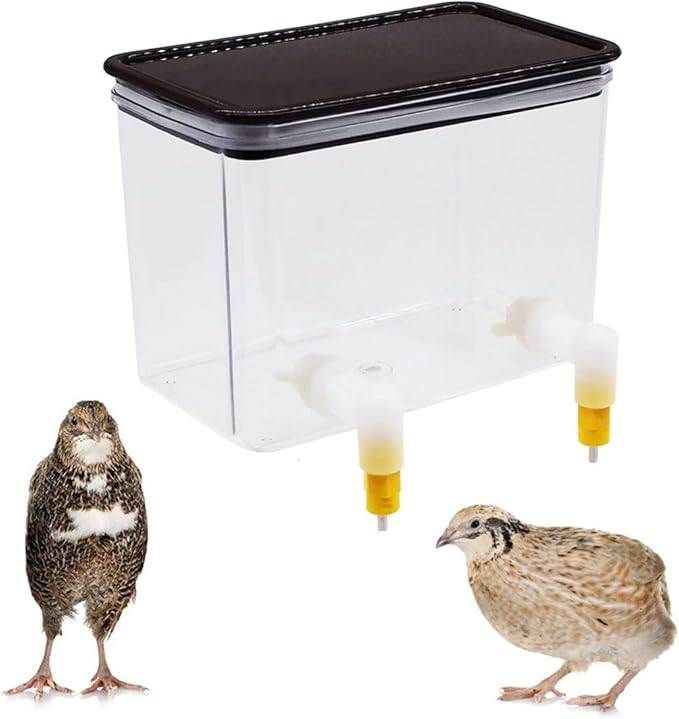 Baby Bird Button Quail Yellow Water Feeder with Double Nipple Drinker