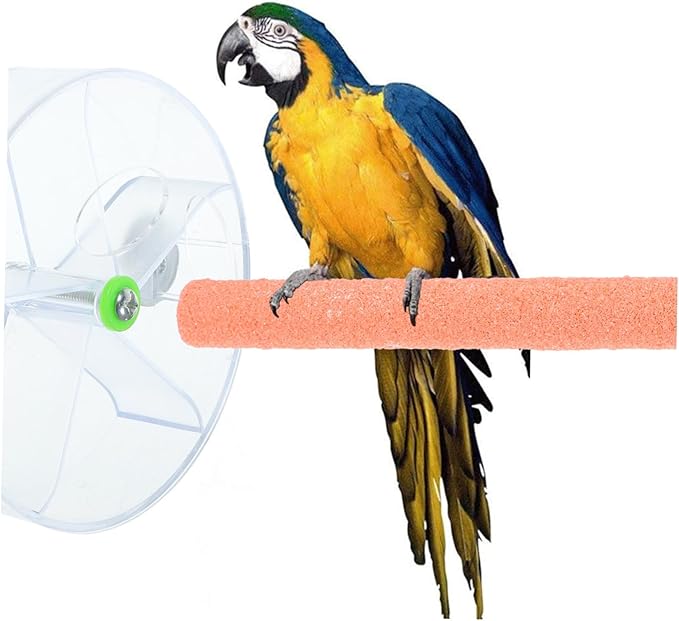 Milisten 1set Bird Intelligence Growth Cage Toy Rotate Wheel Feeder for Foraging Interactive Food Toy for Parrots Cockatiels Random Color Transparent Frosted
