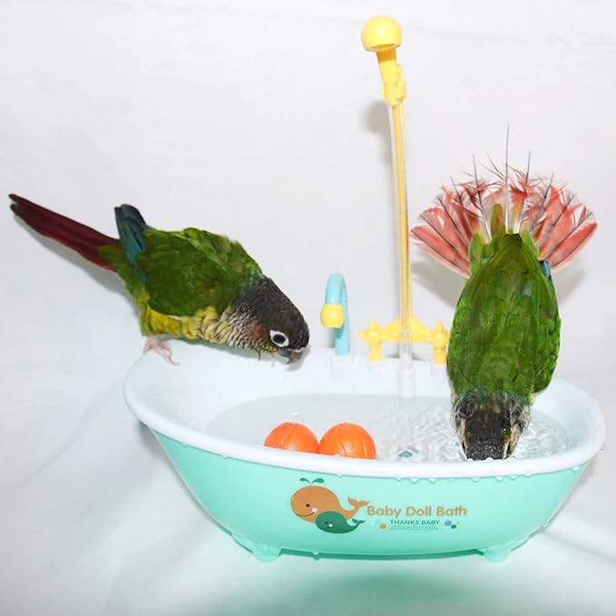 Bird Bathtub Shower Bathing Tub Parrot Perch Bath Basin Shower Bowl for Tiny Small to Birds Easy to