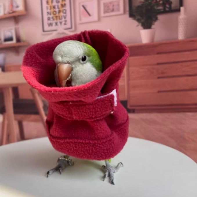 Bird Neck Collar Pet Parrot Anti-bite Picking Feather Healing Protective Neck Cover Collar for Lovebird Macaw Conure Cockatoo African Grey Random Color (XL)