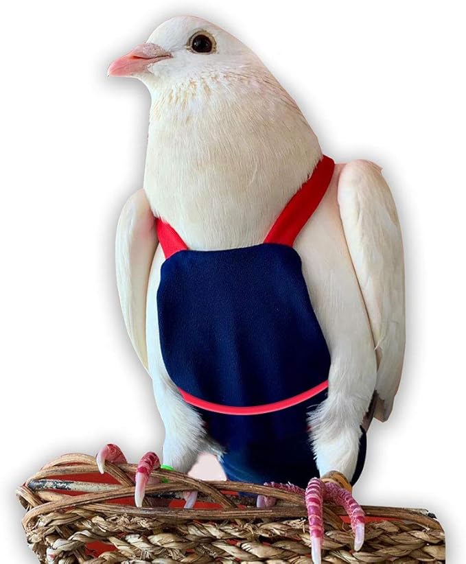 Bev's Bird Boutique Regular Flyper Adjustable Bird Diaper | Reusable, Washable Cloth | Comfort Fit for Parrot, Cockatiels, & Other Small Birds | Fashionable Avian Accessories, Navy & Red, Size 6