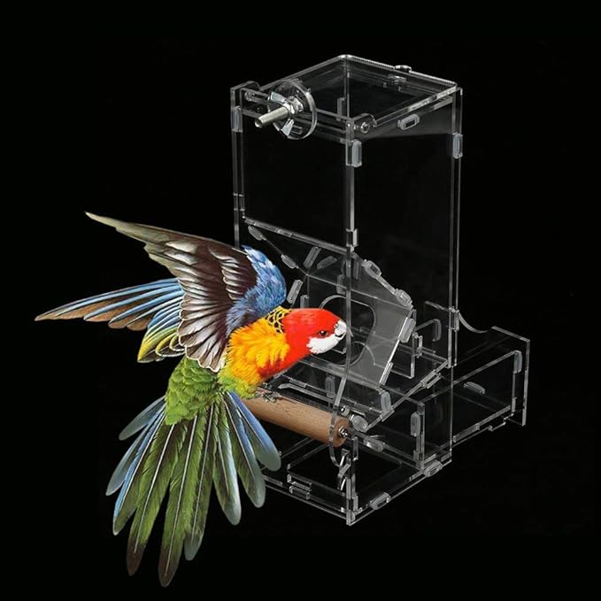 Bird Automatic Food Feeder, 1Pc Acrylic Transparent Parrot Integrated Automatic Feeder Automatic Bird Seed Feeder for Small to Medium Birds(M Single Type)