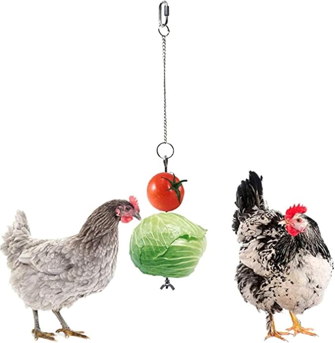 Stainless Steel Bird Hanging Feeder Chicken Hen Food Holder Skewer Foraging Toy Wild Bird Feeder