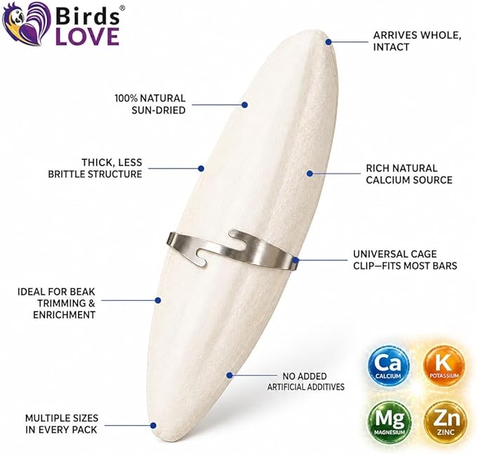 Birds LOVE 7.5-8" Cuttlebone for Birds – 100% Natural Sun-Dried Calcium Carbonate Mineral Supplement – for Parakeets, Budgies, Cockatiels, Finches & Canaries – 2 Pack with Holder – Made in Vietnam