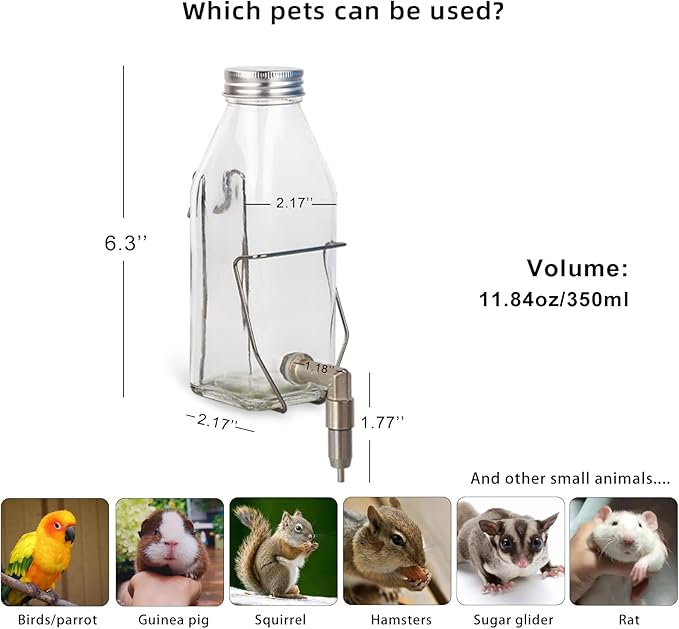 Guinea Pig & Rabbit Water Bottle, 350ml No-Drip Chew-Proof Glass Dispenser with Stainless Steel Nozzle for Hamster, Squirrel, Bird, Guinea Pig Cage (350-S)