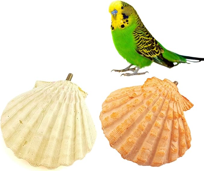 Parrot Perch Stand - 2PCs Shell Shape Squirrel Hamster Teeth Mouth Molar Grinding Stone Parrot Beak Stone Stand Platform