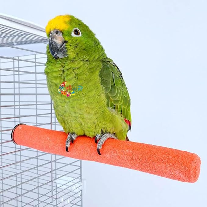 10 PCS Parrot Perch Stand Bird Perch Stand Toy Colorful Paw Grinding Stick Cage Wooden Parakeet Perch Accessories for Cockatiels （7.87in/0.59in）