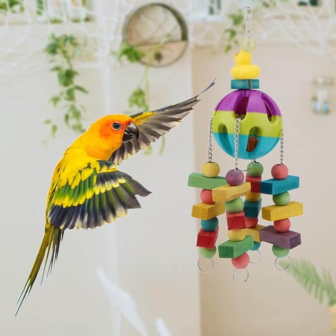 Hypeety Pet Parrot Toy Plastic Colorful Birds Ball with 1 Bell for Budgie African Grey Cockatoo Cockatiel Sun Conures 1 Ball with Wooden Blocks