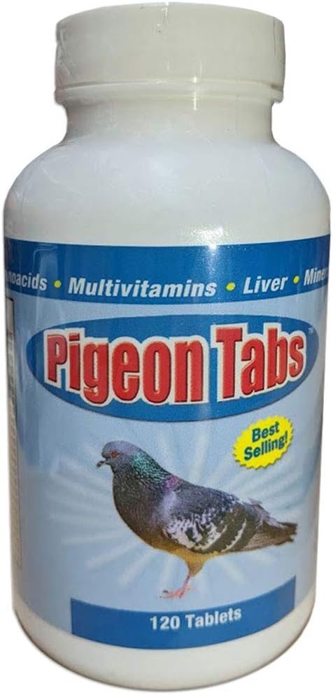 Pigeon Tabs